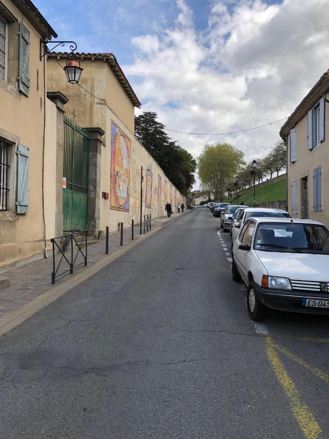 Spacieux Logement Face A La Cite Medievale Carcassonne Ngoại thất bức ảnh